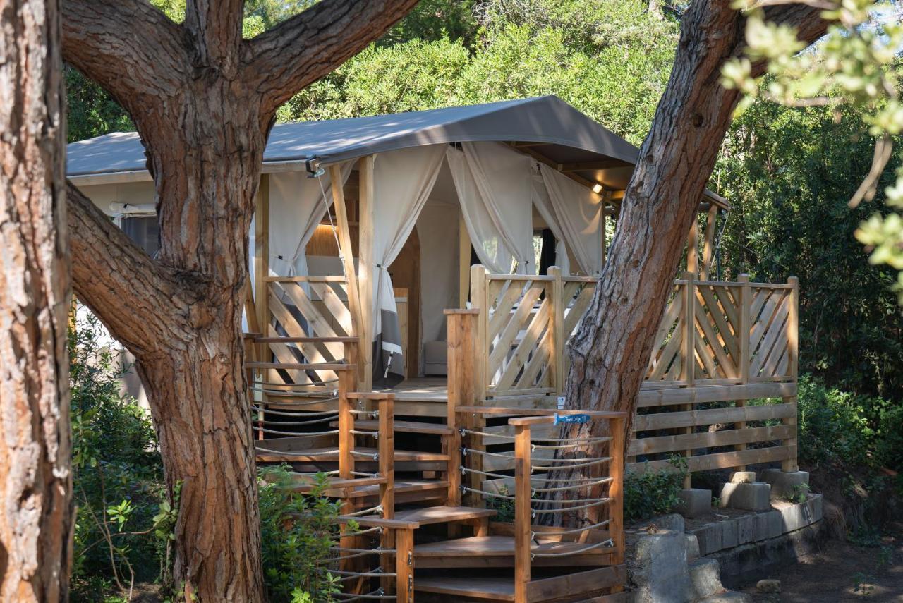 Tent Trend Lodge