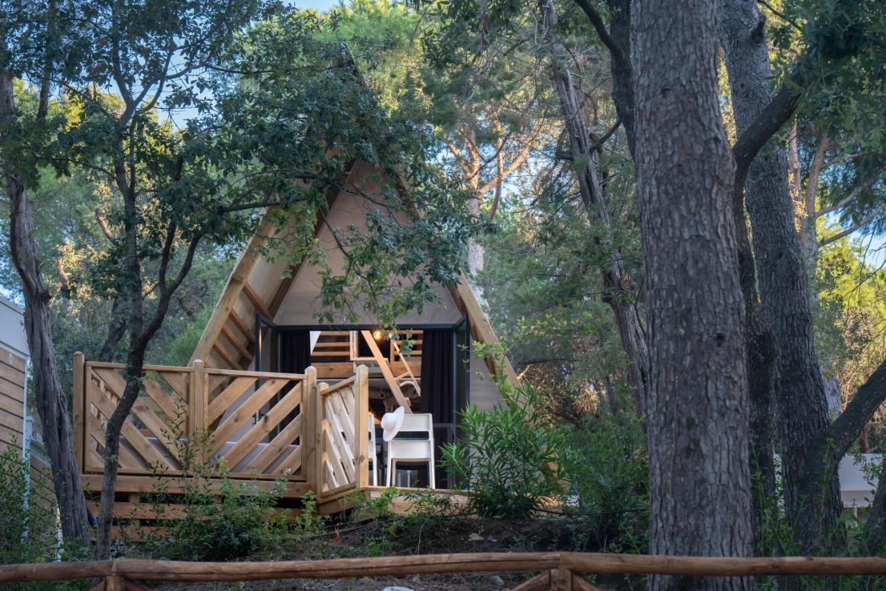 Tent Luxury Lodge