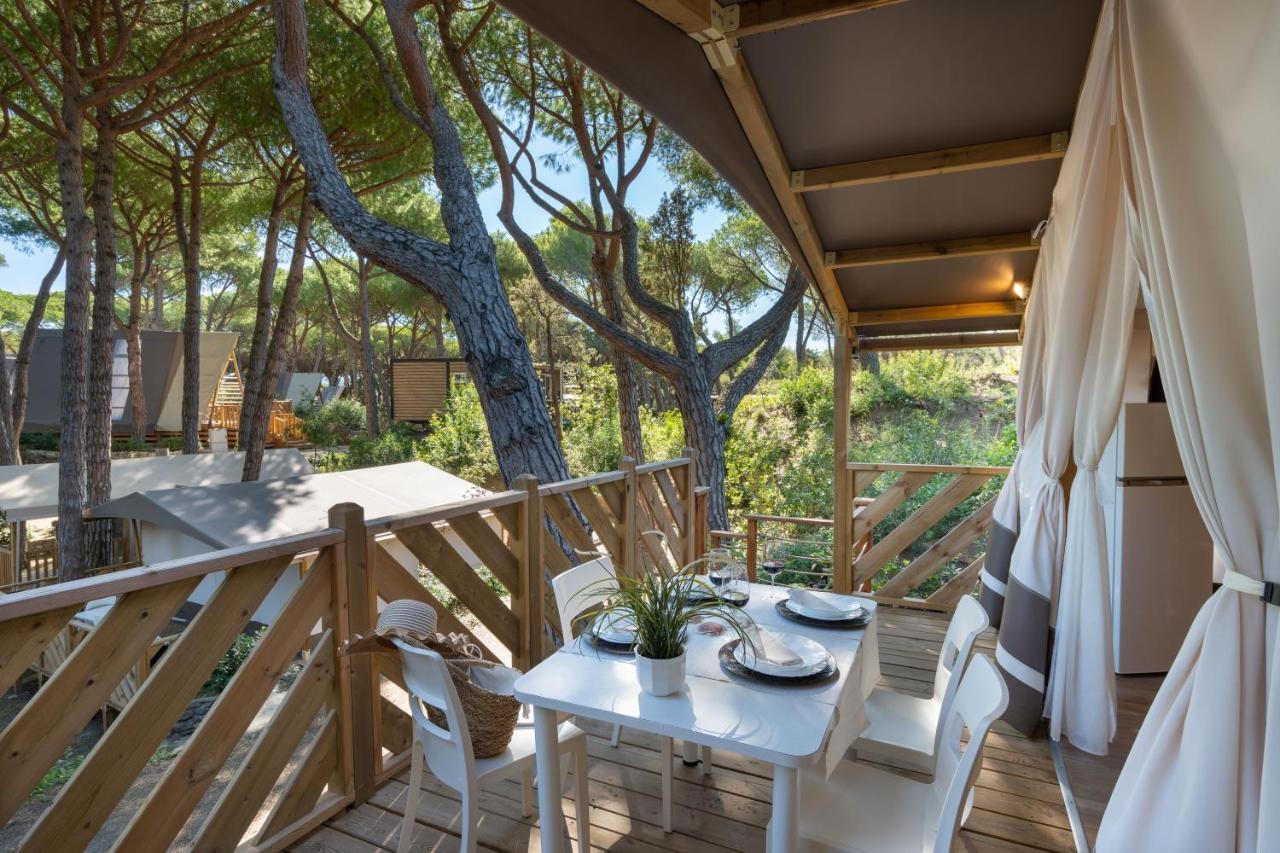 Tent Trend Lodge