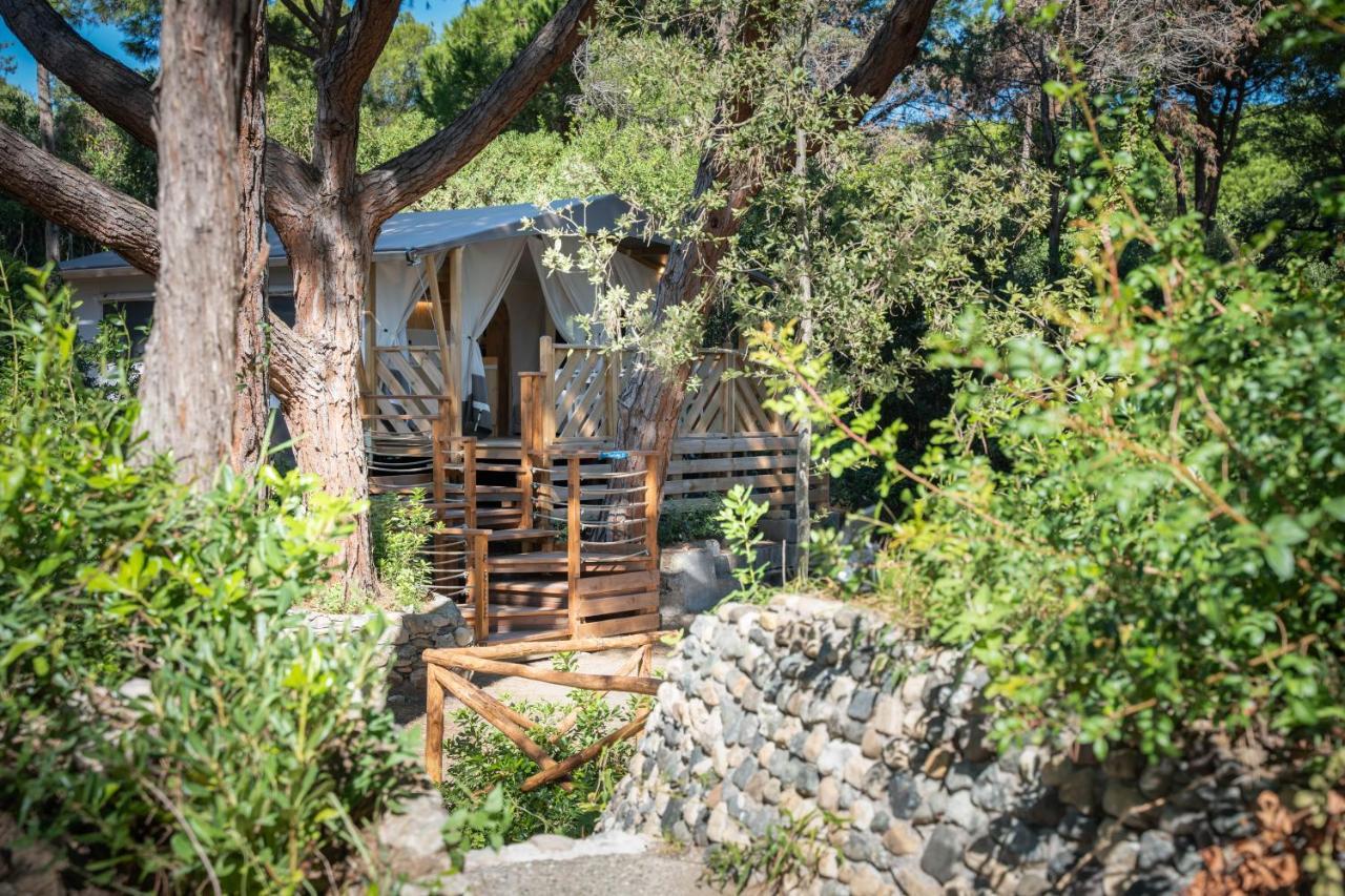 Tent Trend Lodge