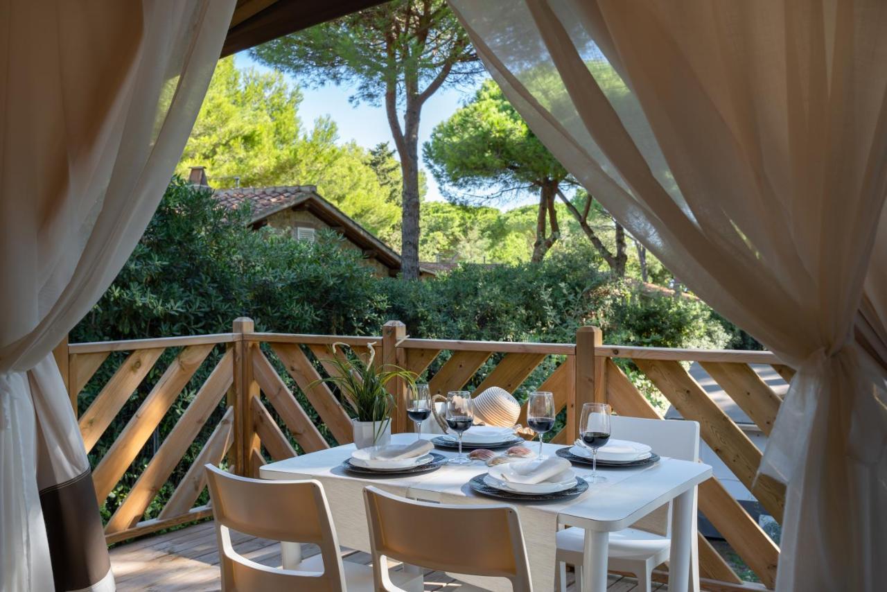 Tent Trend Lodge